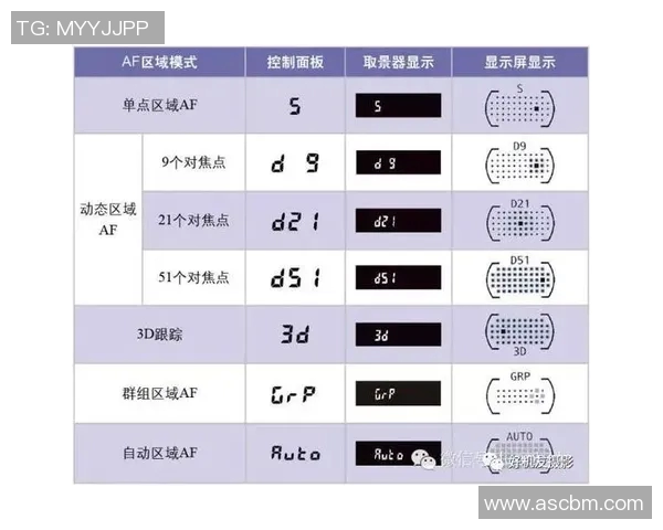 足球比赛规则详解让你轻松掌握比赛中的每一个细节与技巧
